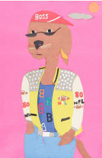 collage of a dog wearing sunglasses and an NFL coat