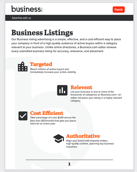 Business Listings flyer