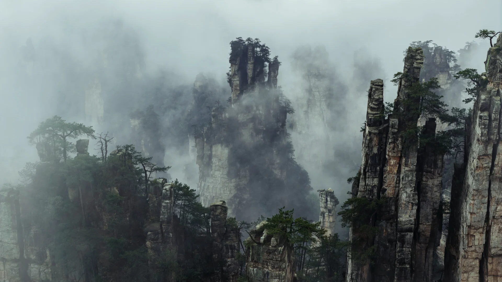 Forest-covered pillars in Zhangjiajie