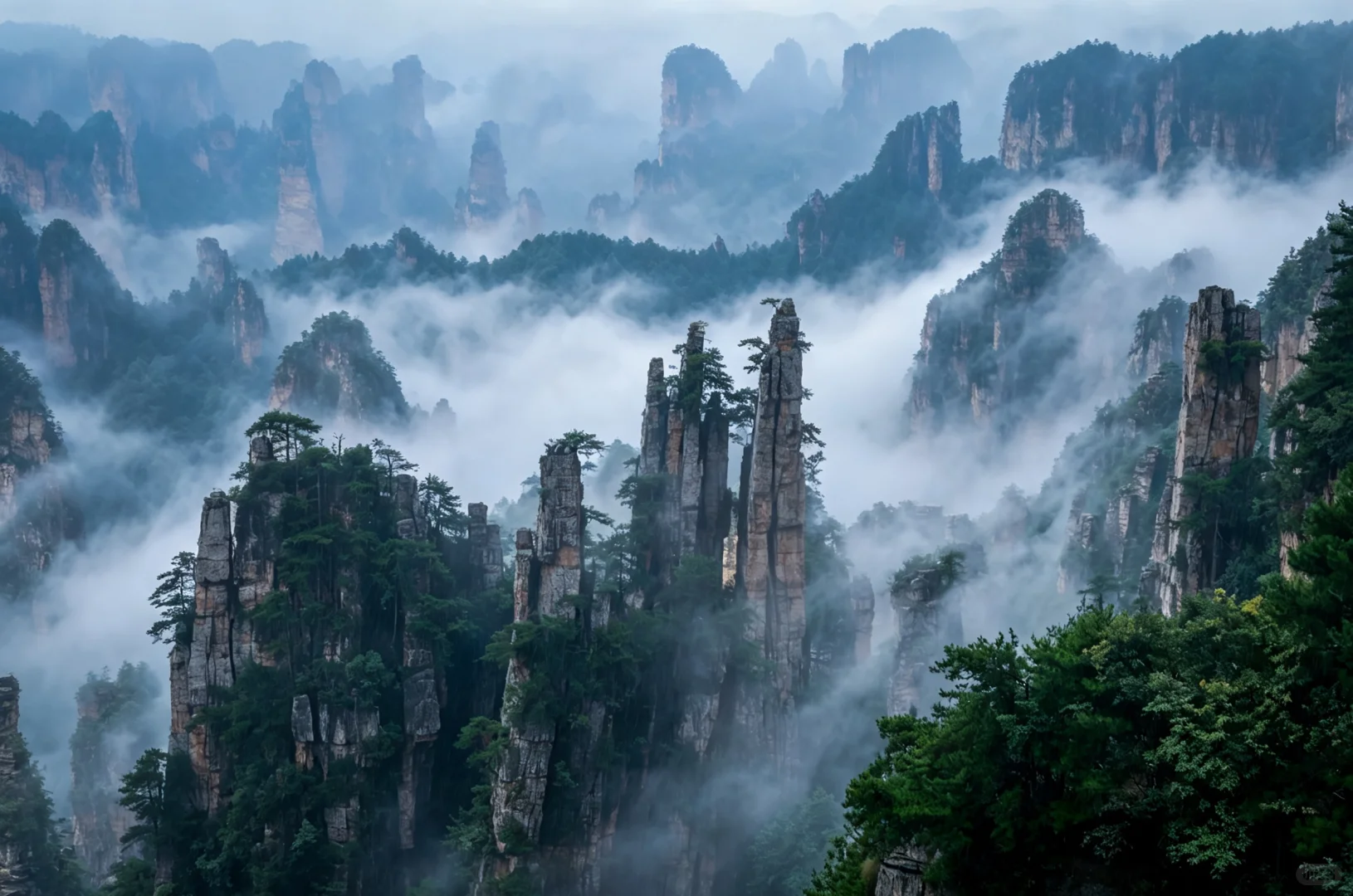 Zhangjiajie sandstone peaks rising through mist