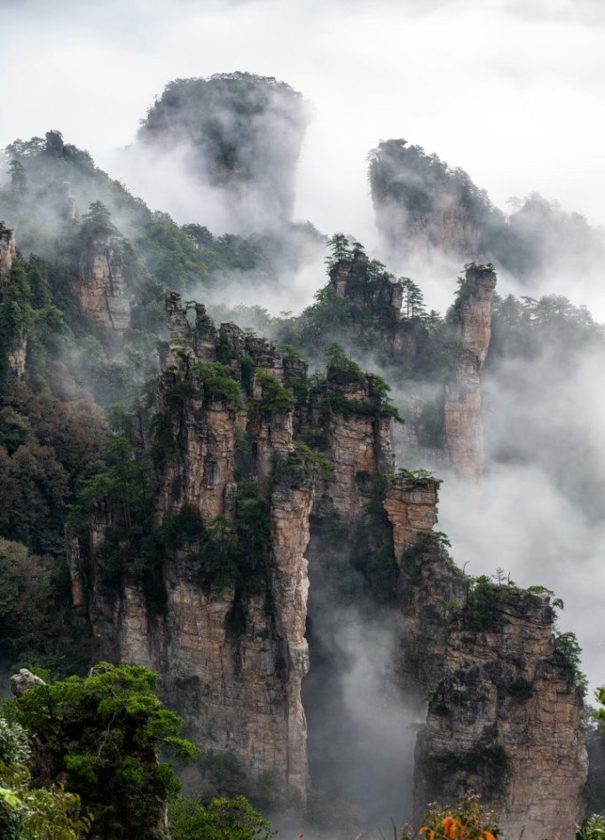 Forested sandstone cliffs in drifting cloud