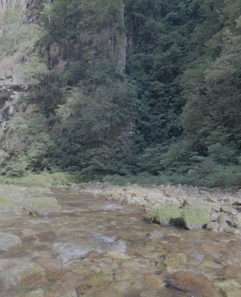A clear mountain stream below a forested cliff