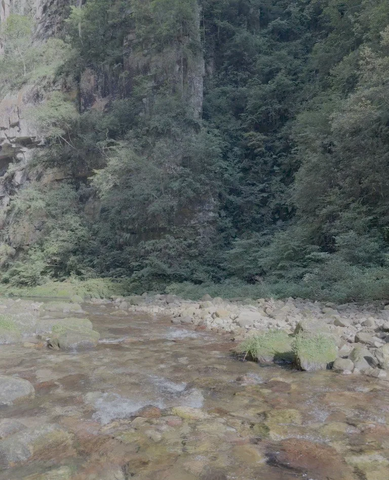A clear mountain stream below a forested cliff
