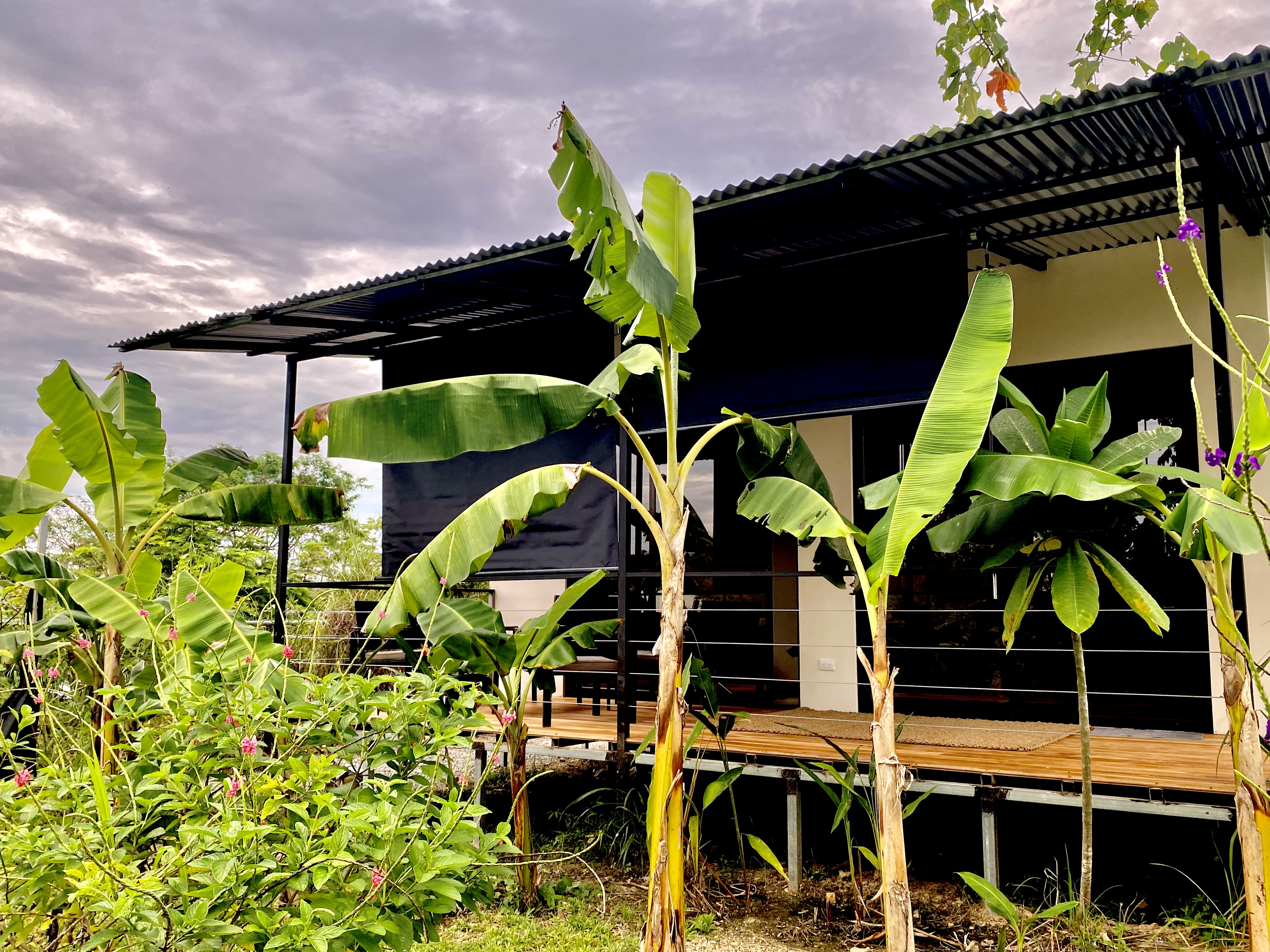 direct booking Santa Teresa