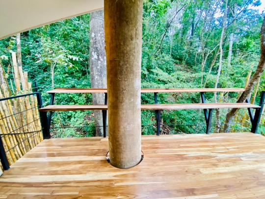 Ecocoon Treelodge & SPA - Casa Ceiba