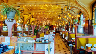 Brasserie L’Excelsior