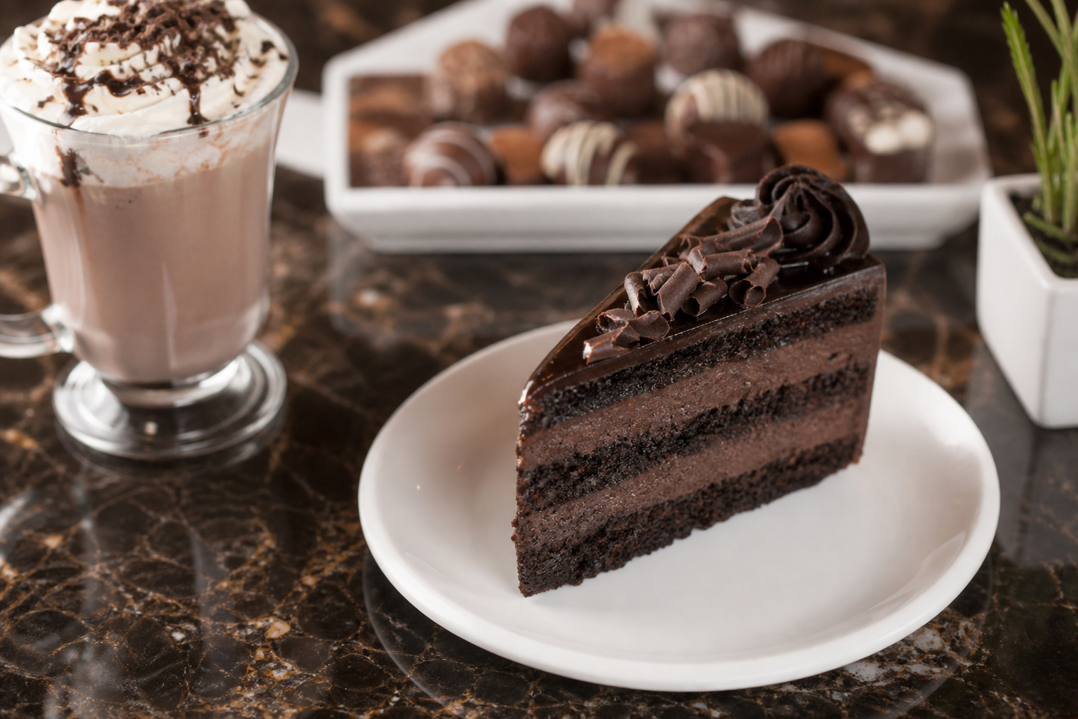 A Practical Guide to Dessert Cafe Etobicoke