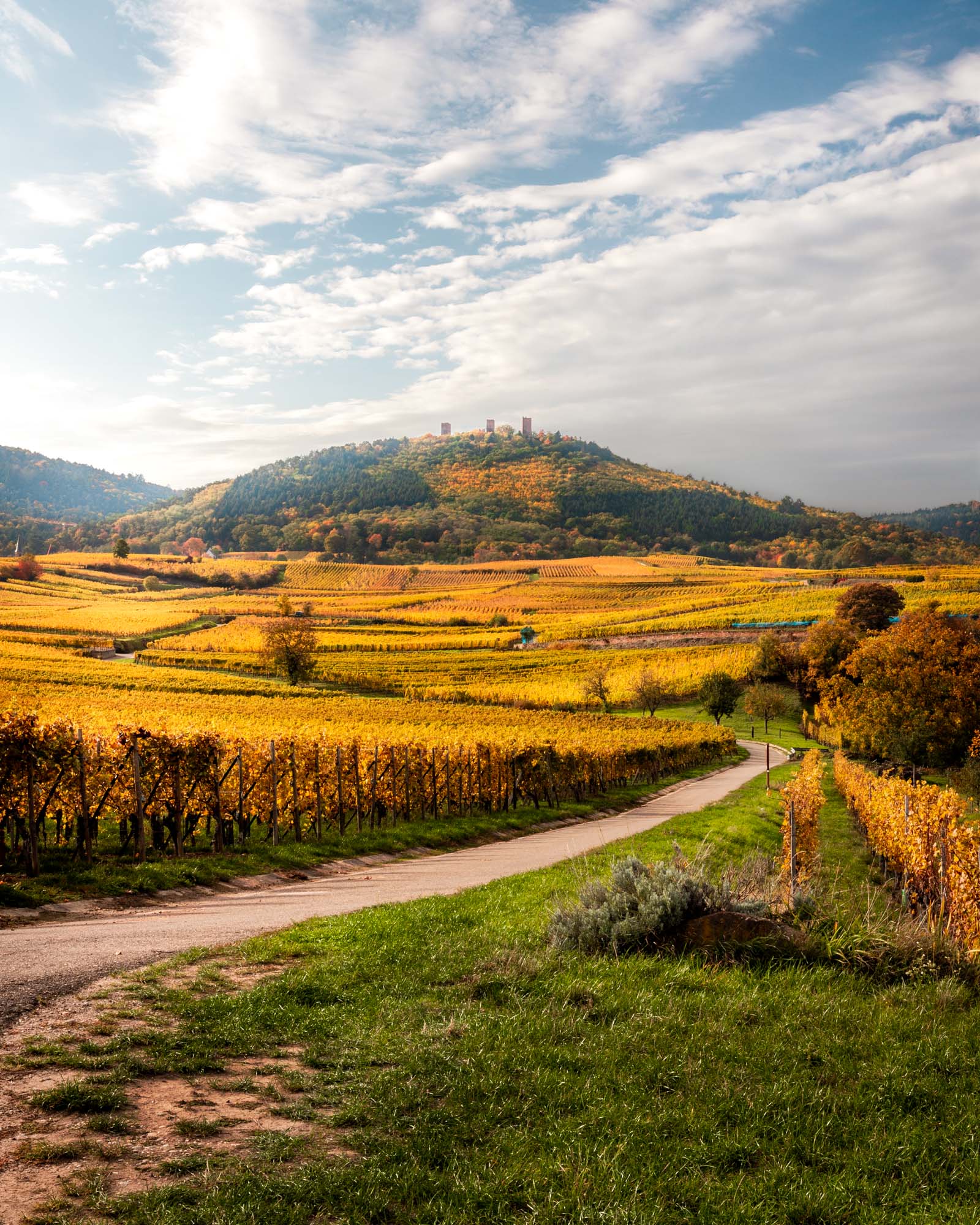 Image de la catégorie Saison - Automne