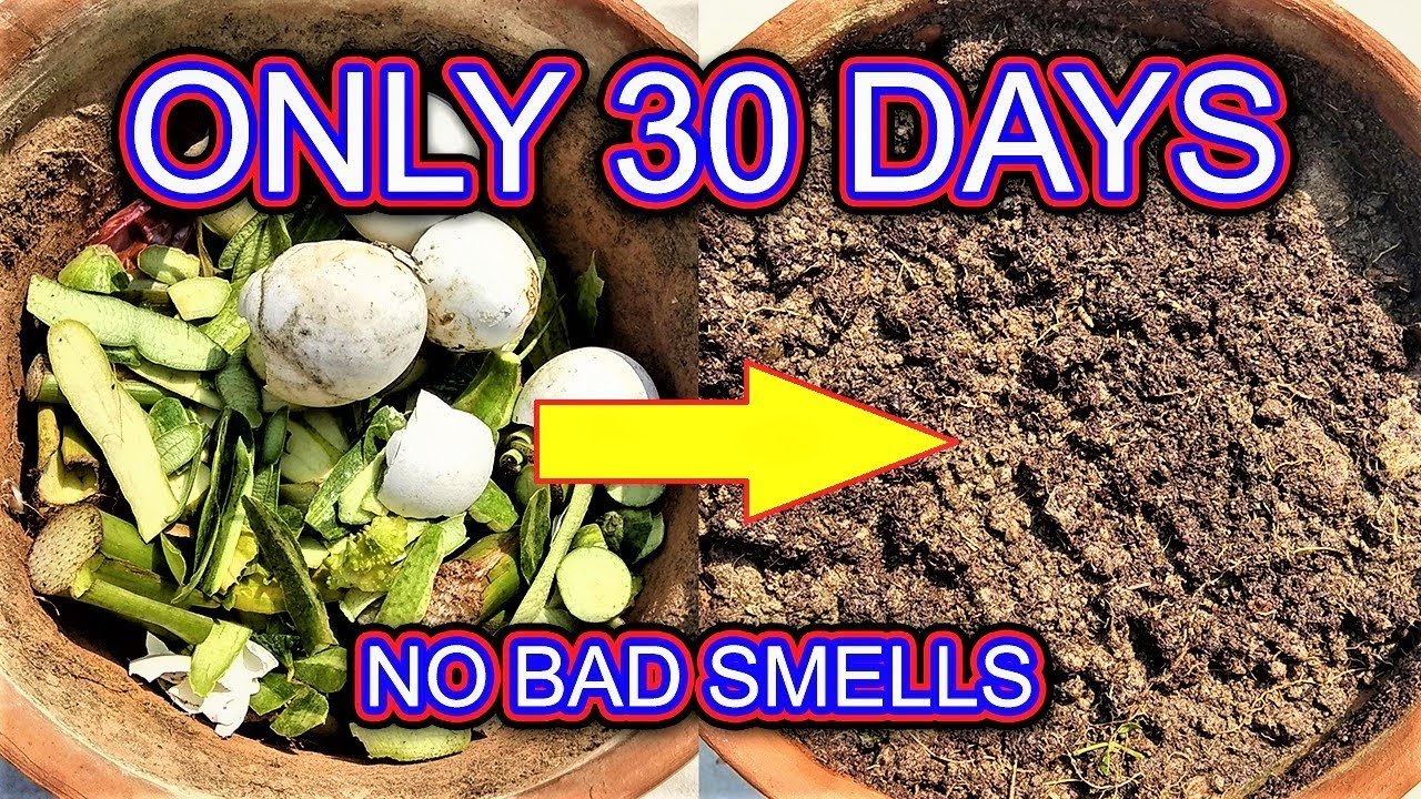 How to Make Kitchen Waste Compost: Simple Eco-Friendly Tips | Kitchen ...