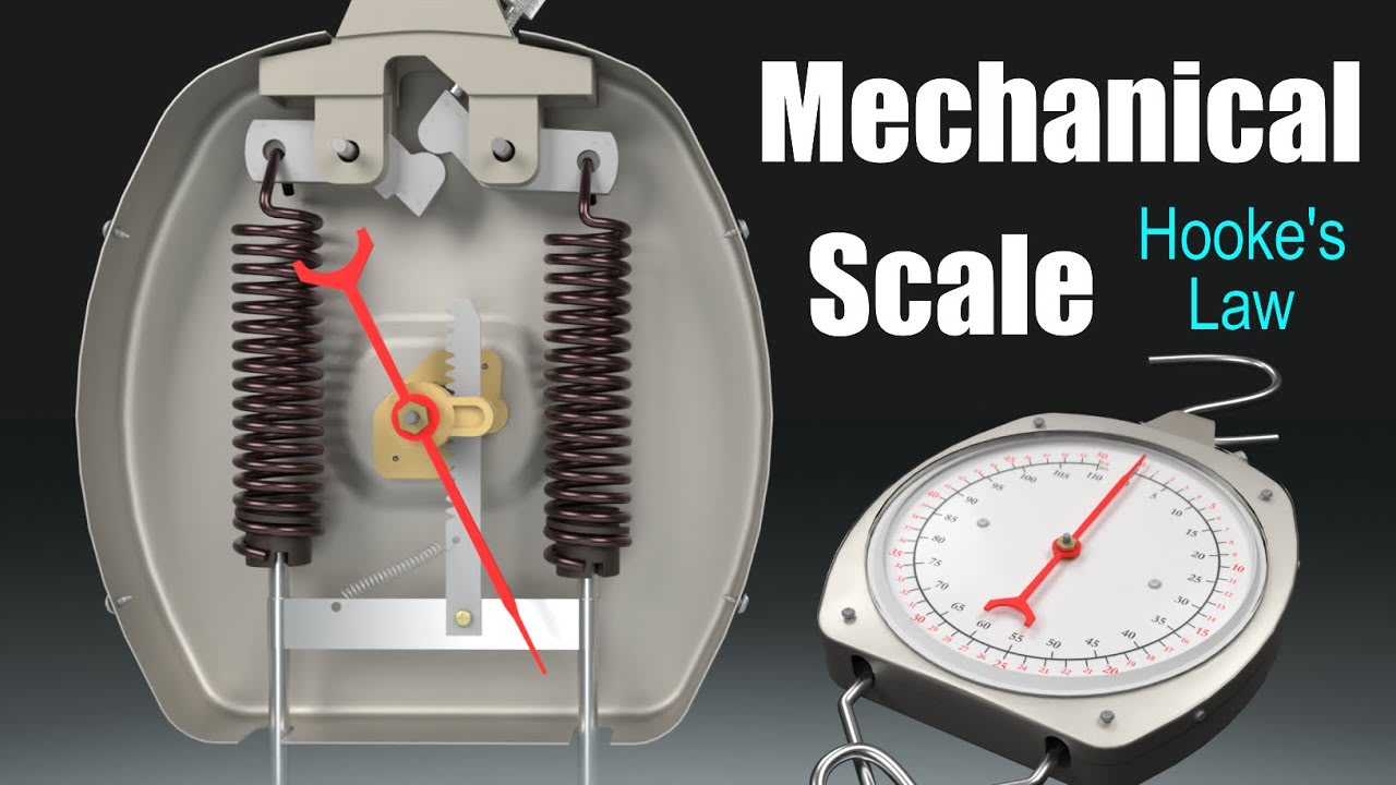 How Do Kitchen Scales Work Measuring Magic Unveiled