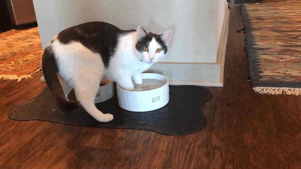 Why is My Kitchen Floor Wet? Uncover the Mystery Now!