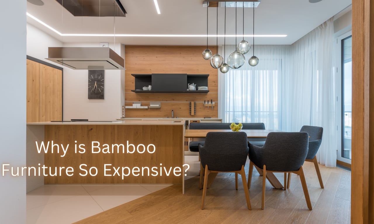 Why is Kitchen Furniture So Expensive? Uncover the Secrets!