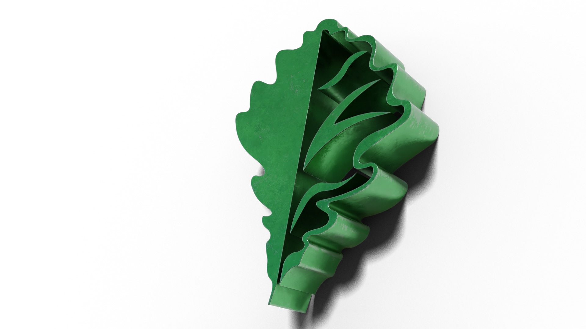 OAK LEAF INTRO 5
