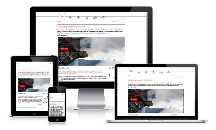Responsive devices view