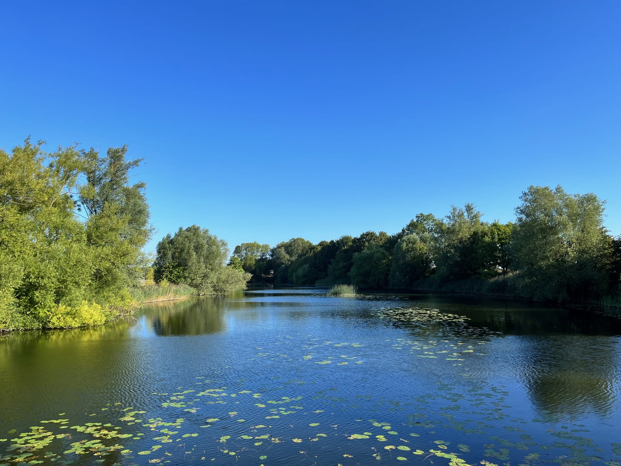 Lake at Kingfisher Lakes Glamping