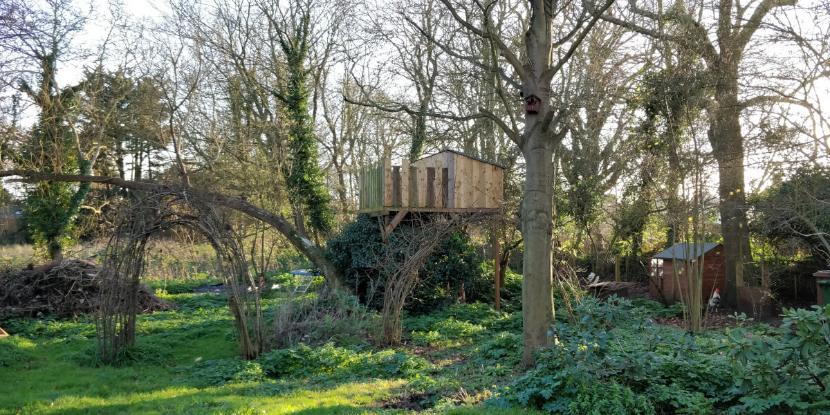 My kids' new treehouse