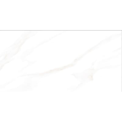 https://res.cloudinary.com/jubinbms2/image/upload/v1639455281/irfwircoi8xi4ajhtwjy.jpg