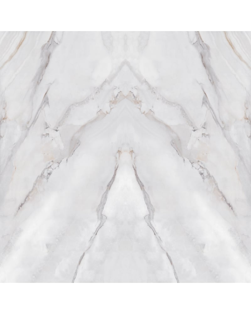 https://res.cloudinary.com/jubinbms2/image/upload/v1697793556/spcg4m1zfewt6shv1cta.jpg