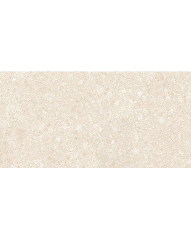 https://res.cloudinary.com/jubinbms2/image/upload/v1706084848/l4mfriurqev8p3akrcl3.jpg