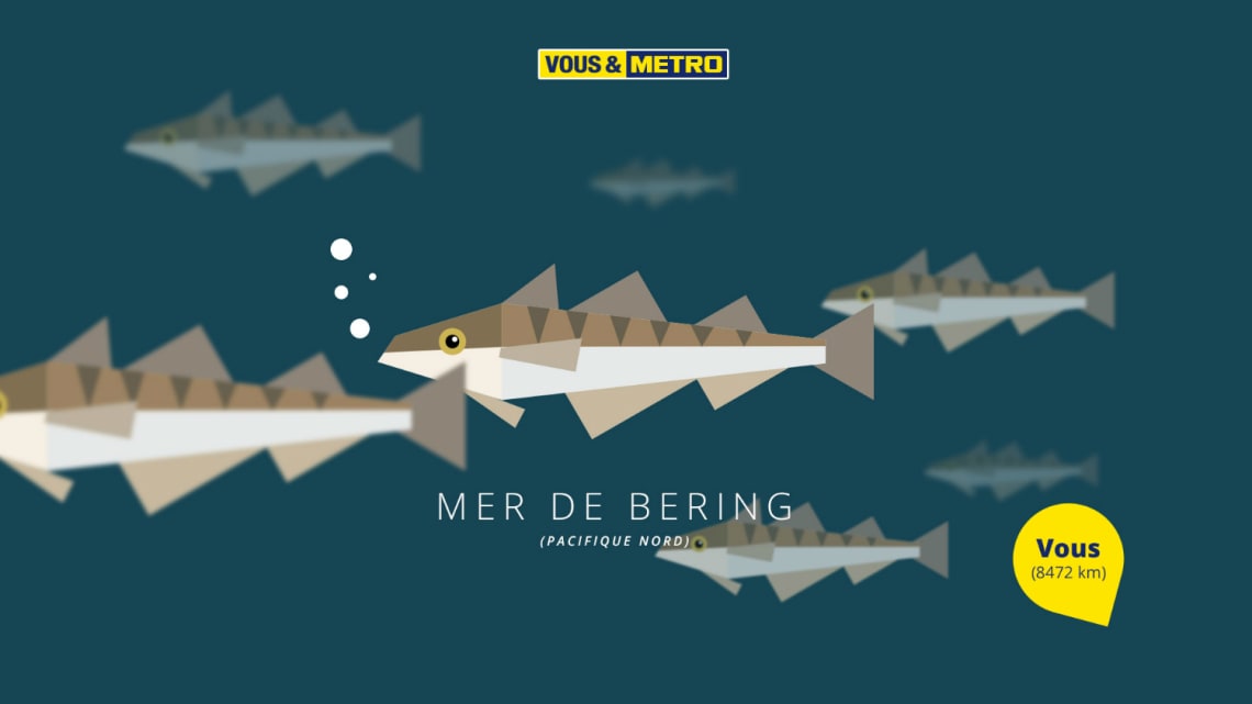 Vous & Metro Conception,Direction Artistique,Illustration