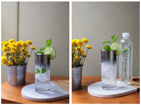 Sparkling Mint Mojito