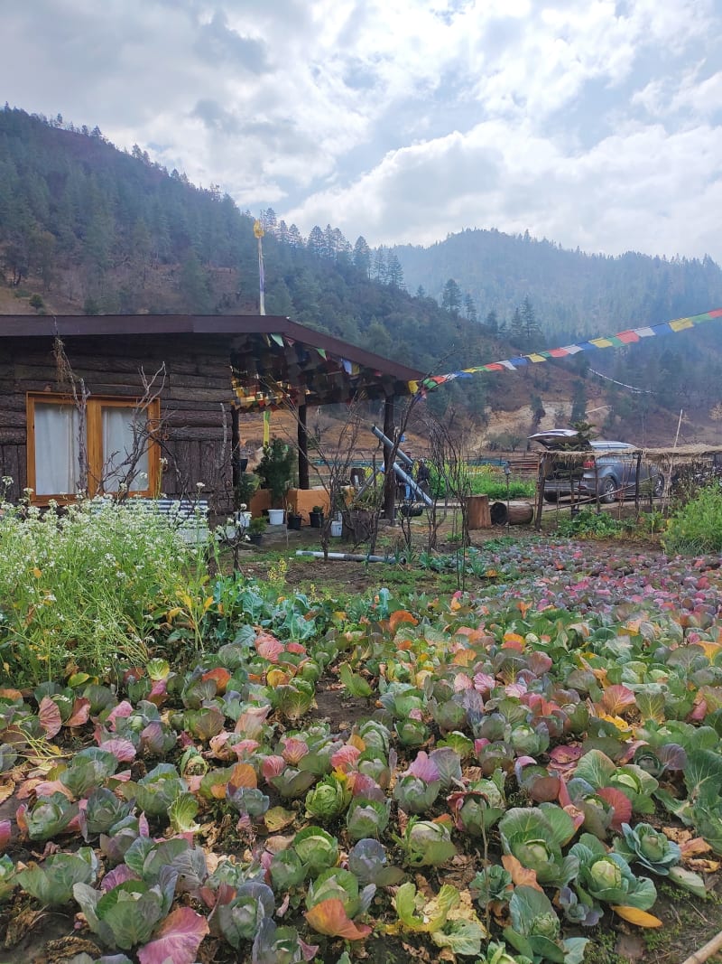 Shergaon (via Mandala Top) → Dirang