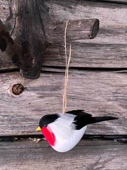 UND hengepynt dompap