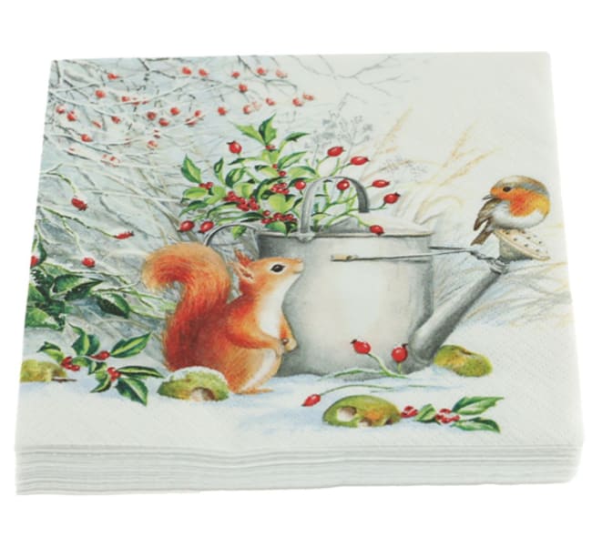 Red Squirrel & Robin