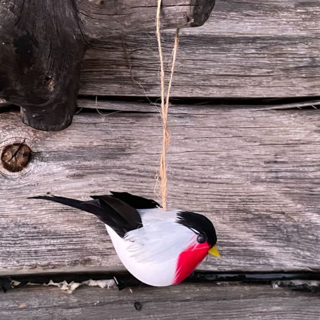 UND Hengepynt dompap