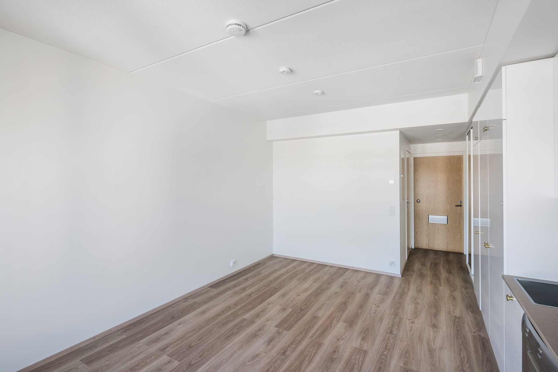 230331 ruissalontie 13 D158 006