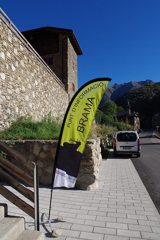 ¿Qué días y a qué hora se puede ir a uno de los puntos de observación de la berrea del ciervo en el Pallars Sobirà?
