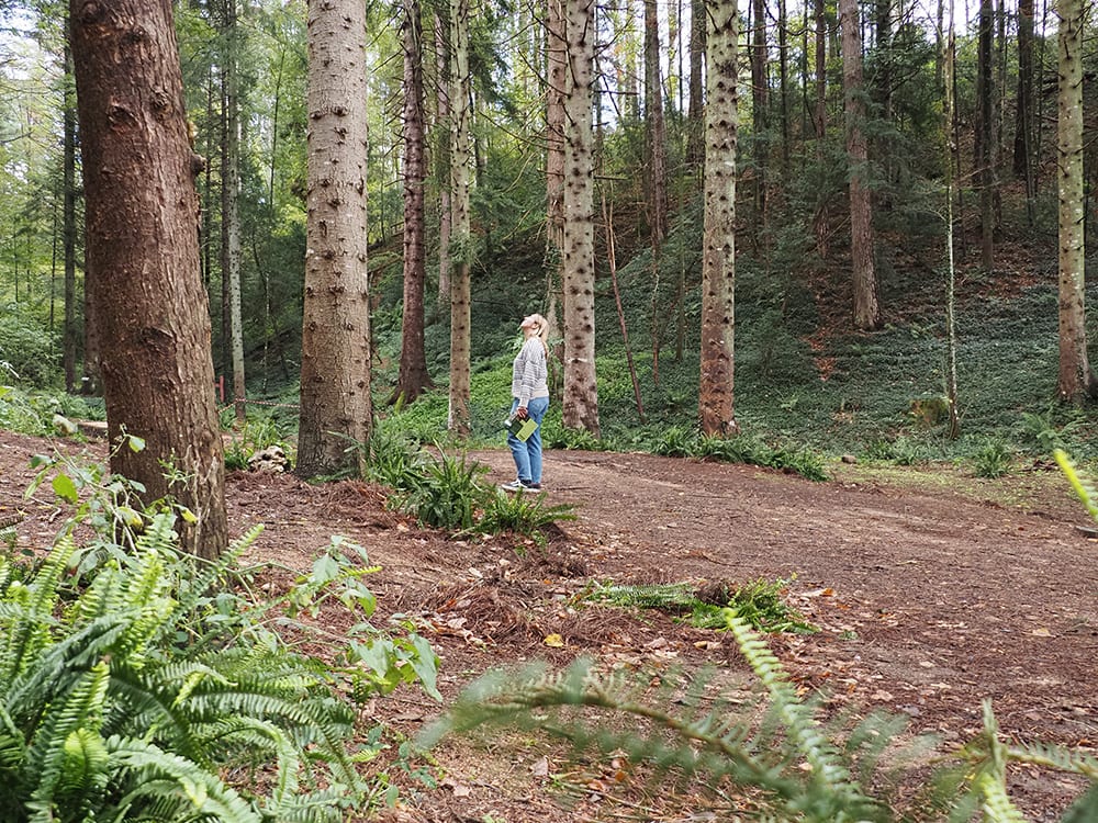 Visita al arboreto de Masjoan