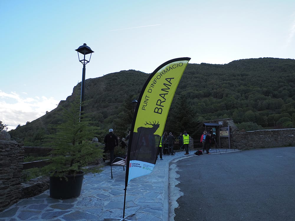 Escuchar la berrea del ciervo en el Pallars