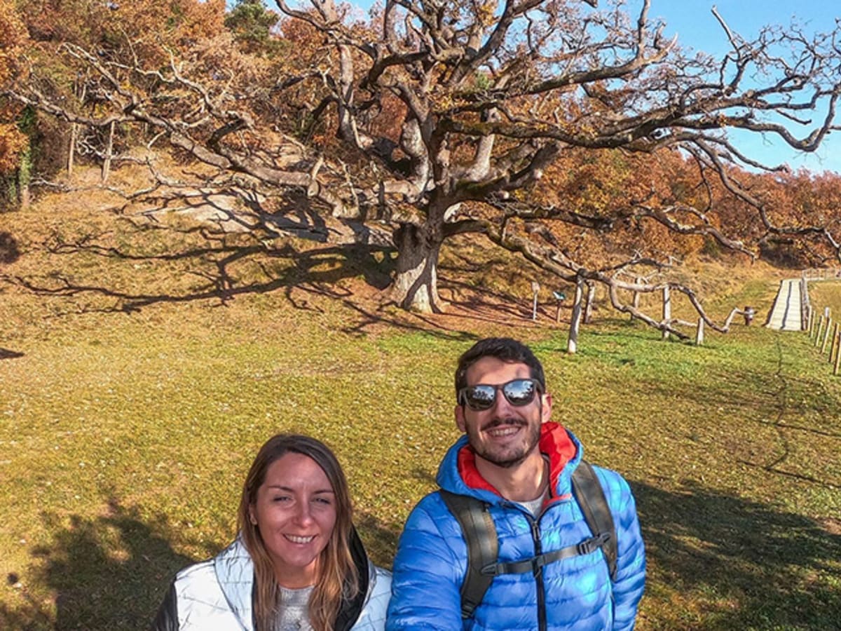 Roble de la Senyora - 1