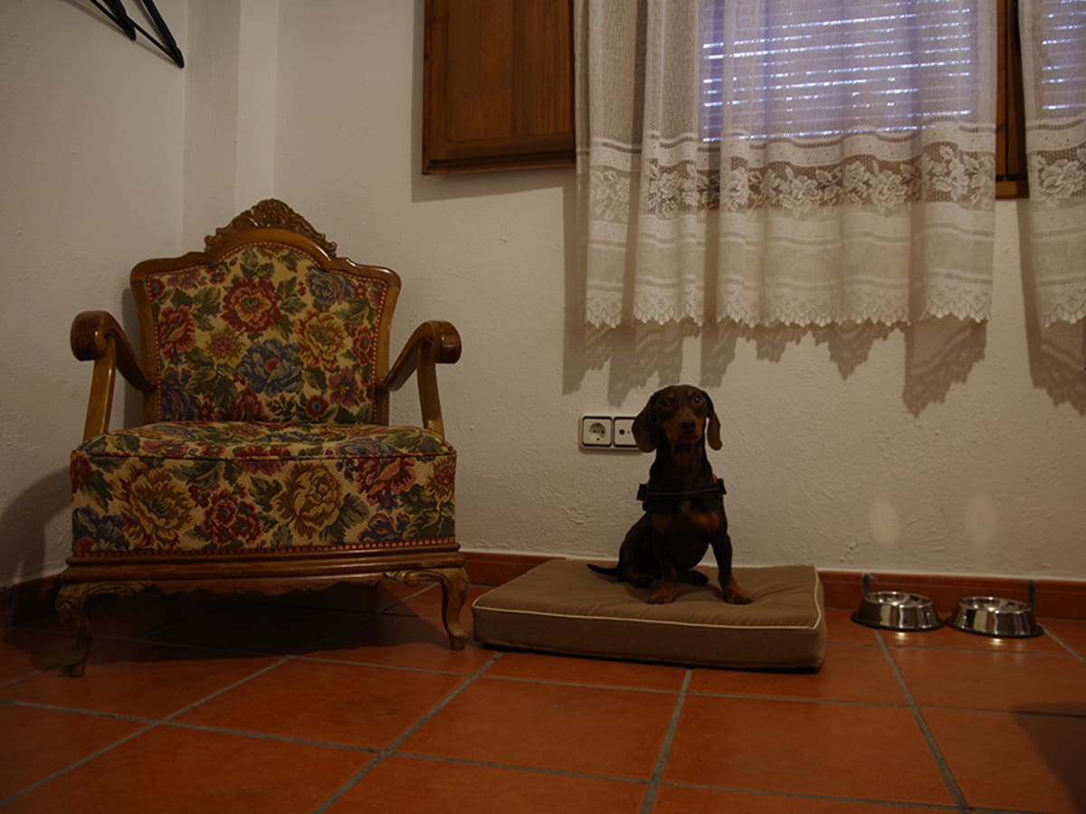 La Llar del Mas - 2