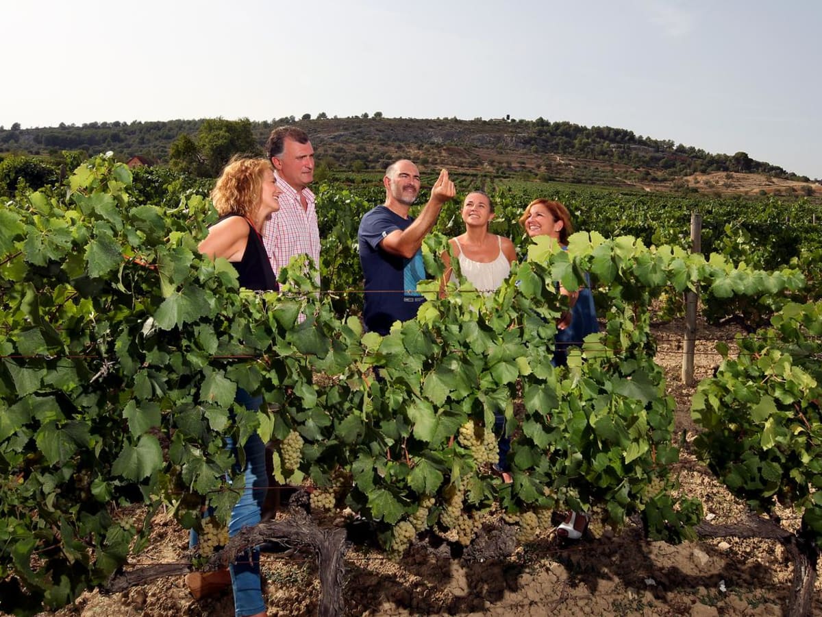 Cava & Hotel Mastinell - 3