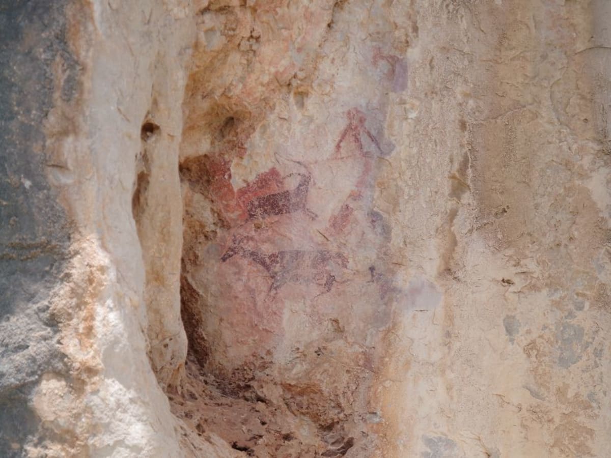 Ruta a las Pinturas Rupestres de Cabrafeixet, en El Perelló - 0