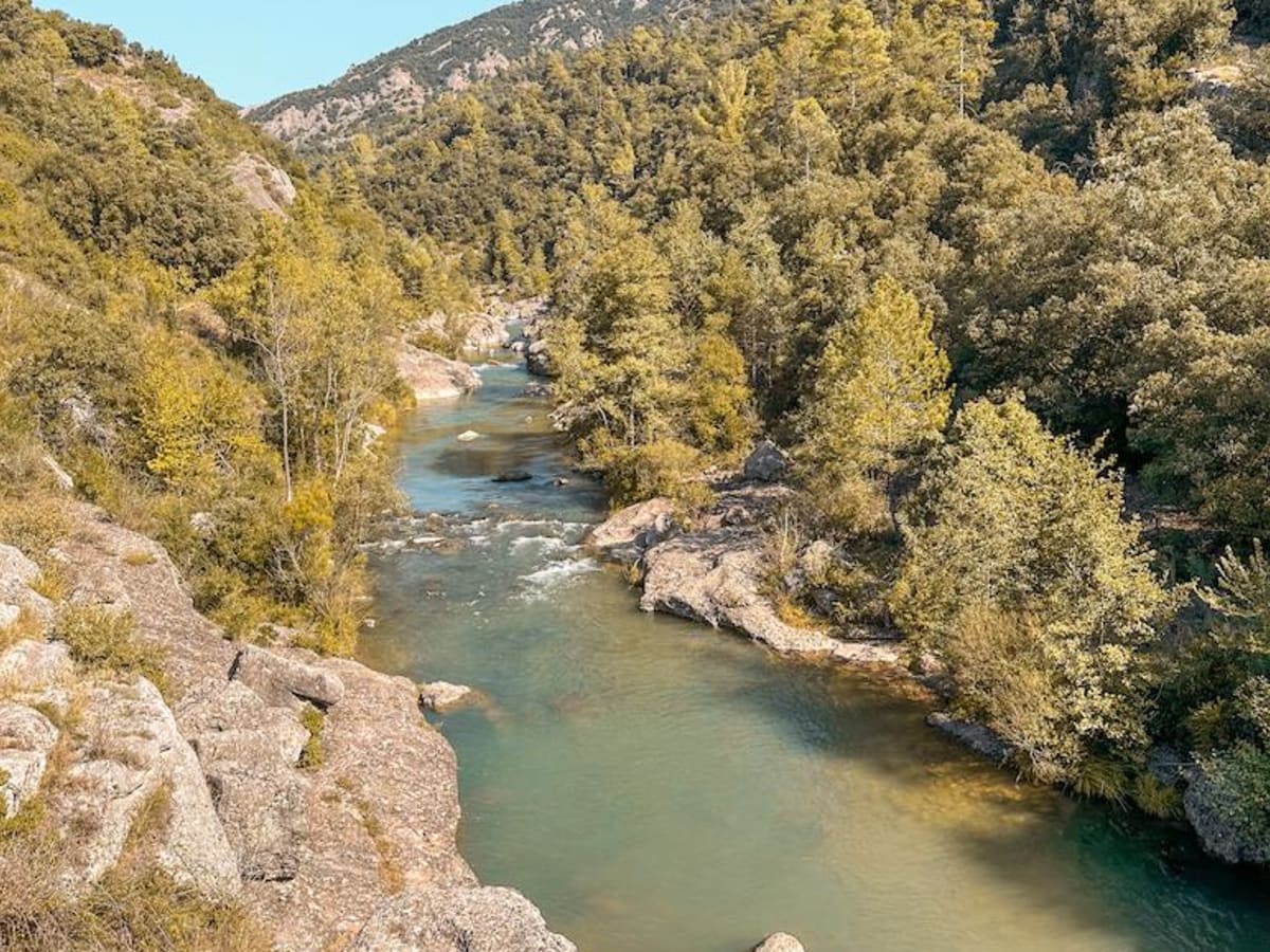 Puente de Pedret - 0