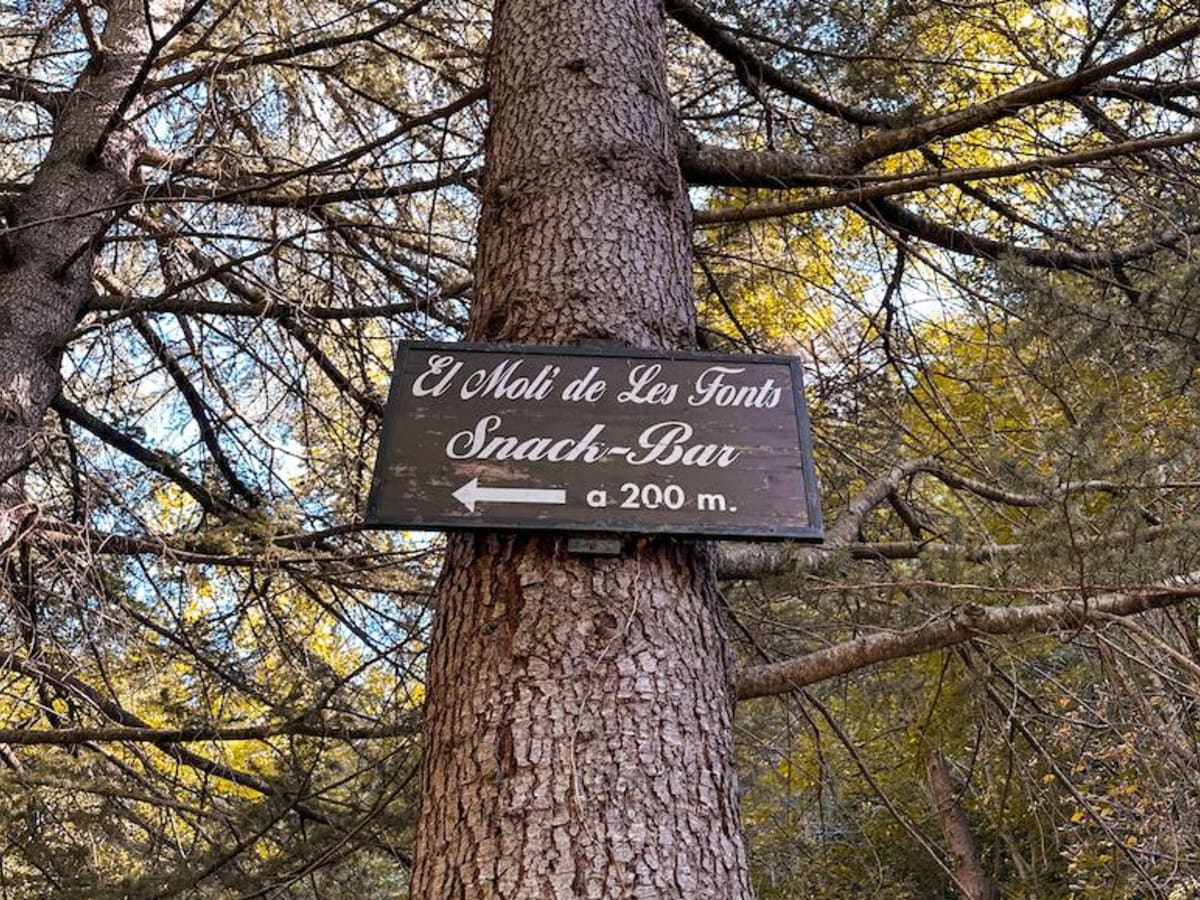 Fonts del Llobregat - 2