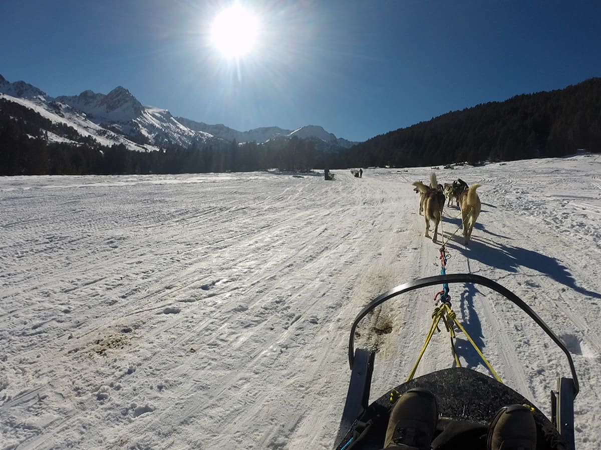 Trineo con perros en Andorra