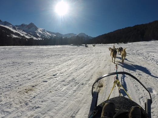 Escapada en trineo con perros en Andorra
