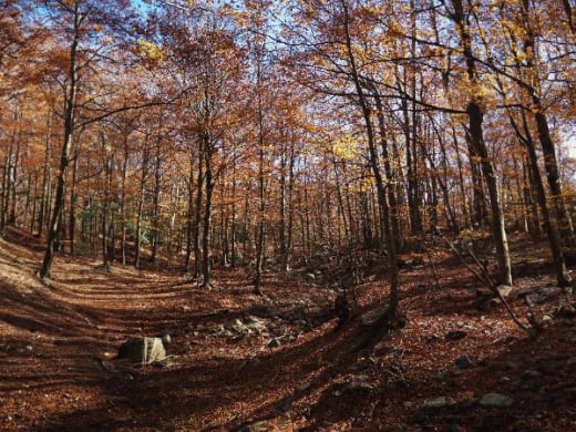 Qué hacer en el Montseny: 14 ideas para una escapada al Parque Natural