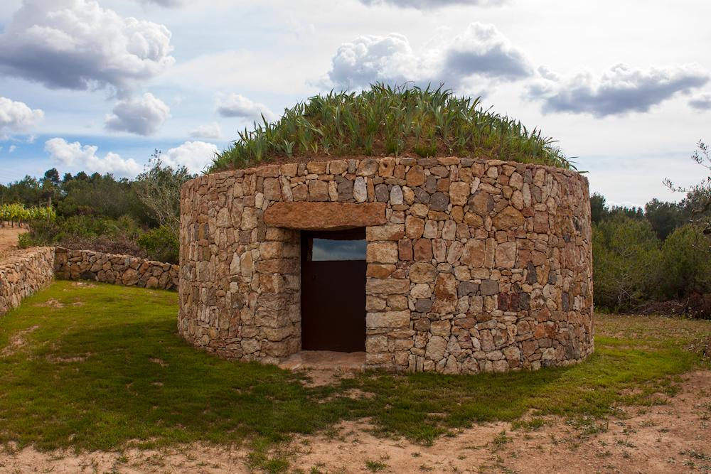 Barraca entre vinyes
