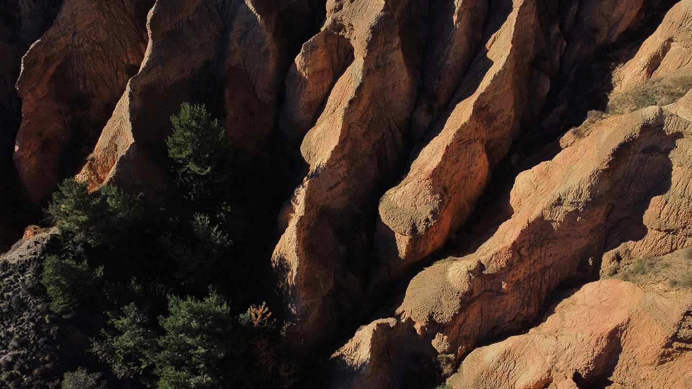 Escapada als Esterregalls d’All, els badlands de Catalunya - 3