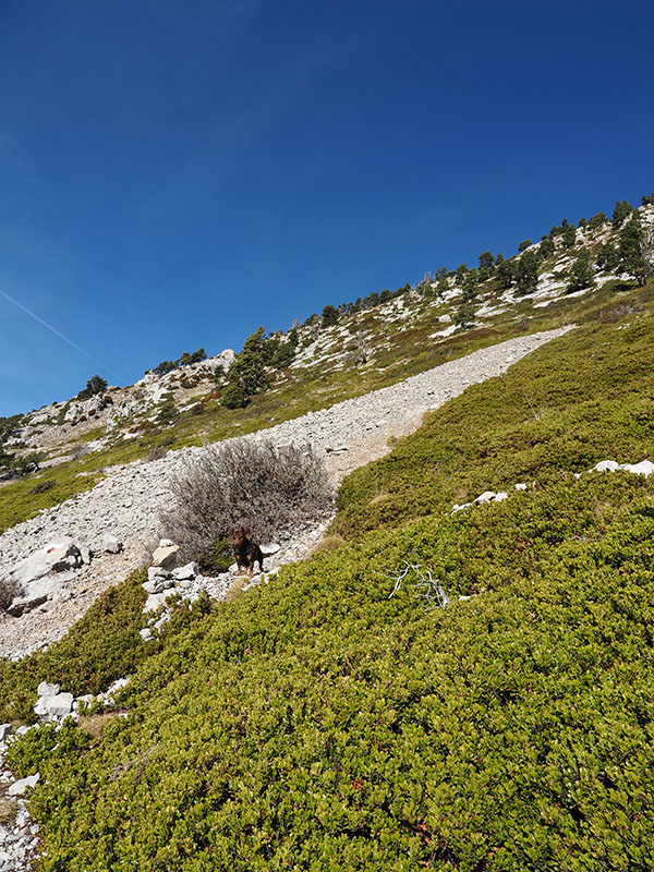 Escapada al Pic de les Tres Canaletes, al Parc Natural de la Serra del Cadí - 1