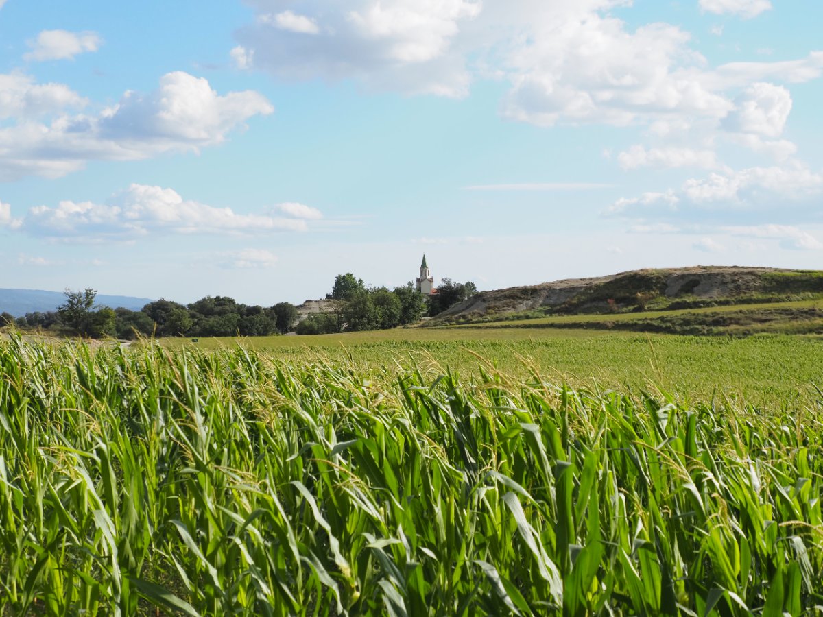 Escapada al Santuari de Puig-agut, una ermita amb encant a Osona - 1