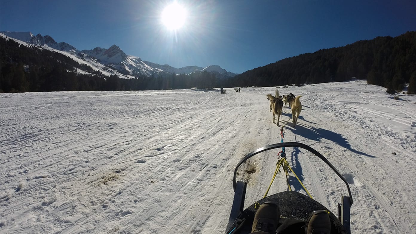 Escapada amb trineu amb gossos a Andorra