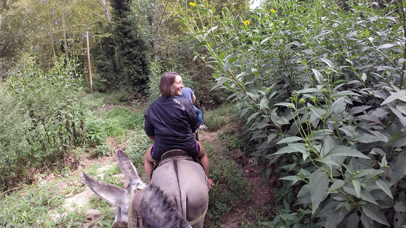 Escapada al Rukimon Rucs del corredor: Un dia d’animals