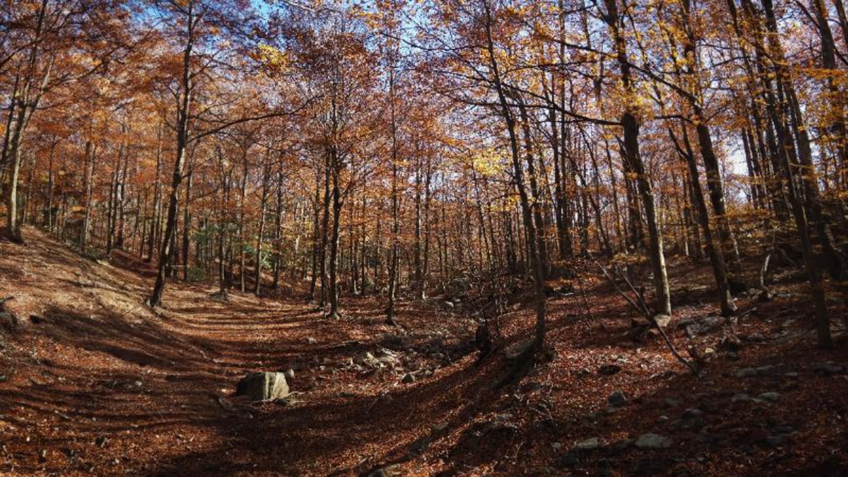 Què fer al Montseny: 14 idees per gaudir d'una escapada al Parc Natural del Montseny