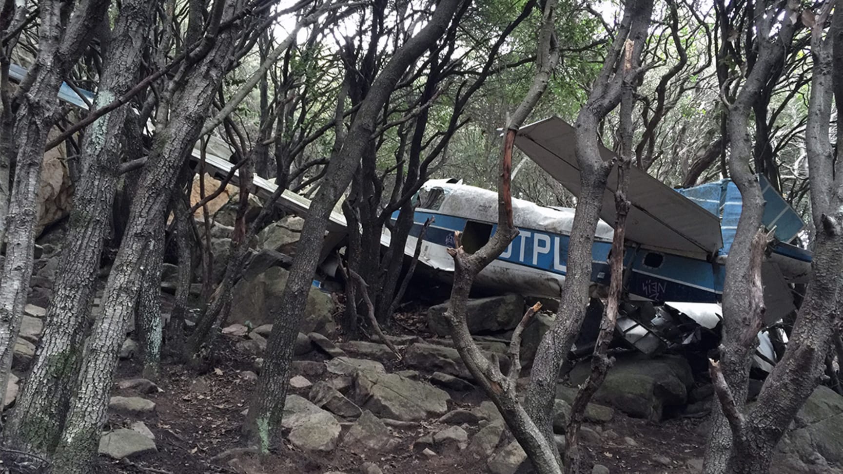 Escapada a l’avioneta estavellada a Santa Fe del Montseny